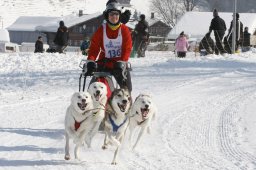 Lenk 2012 SM